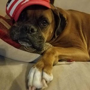 Meet your Posher, Tim